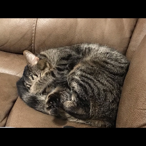 Meet your Posher, Christina - Picture 4 of 4